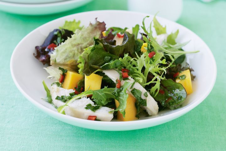 Chicken and Mango Salad