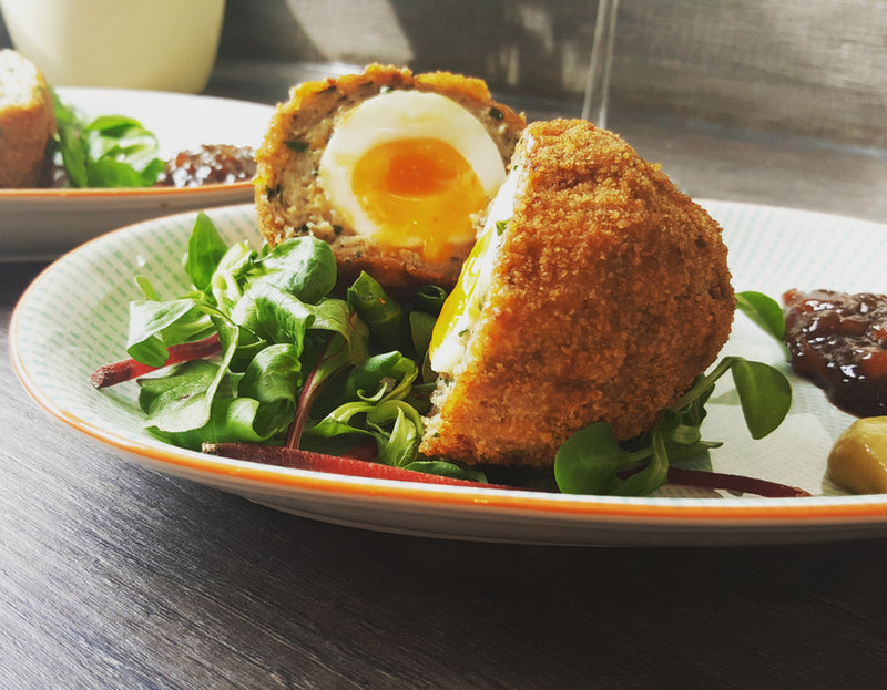 Scotch Eggs