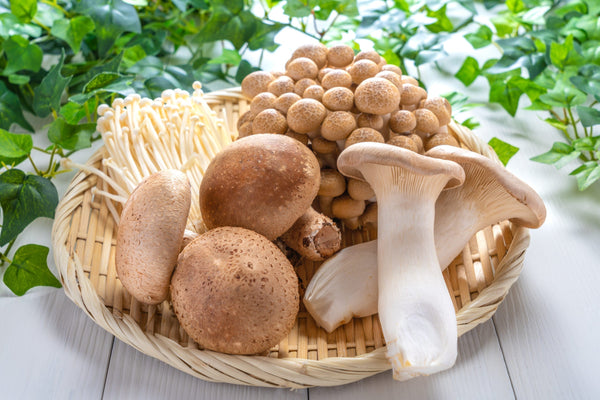 The Magic of Mushrooms: Five Health Benefits of Incorporating Them Into Your Diet