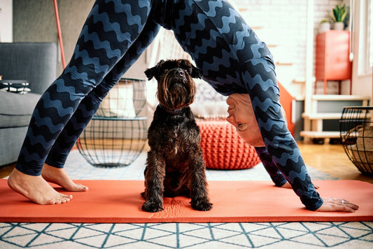 Mature,Woman,Doing,Yoga,At,Home,While,Her,Curious,Dog