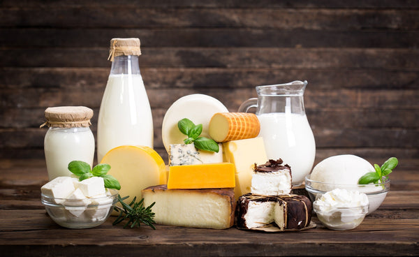 Milk, cheese, and dairy dairy intolerance, lactose intolerance