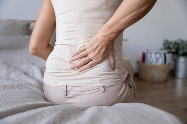 Understanding Back Pain