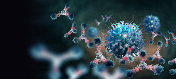 Virus,Under,Microscope.,Antibodies,And,Viral,Infection.,Immune,Defense,Of