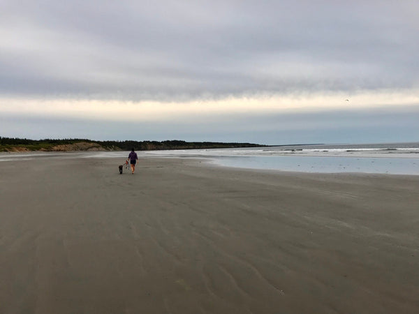 Walking Your Way to Better Health