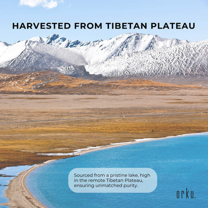 800g Magnesium Chloride Flakes Hexahydrate Tub -  Organic USP Food Grade Salt